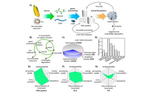 天津大學研發可持續DNA生物塑料 全流程綠色環保，用水即可回收