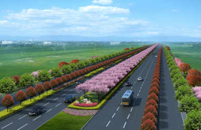 新機(jī)場大道景觀綠化工程正式開工，打造城市生態(tài)迎賓新走廊